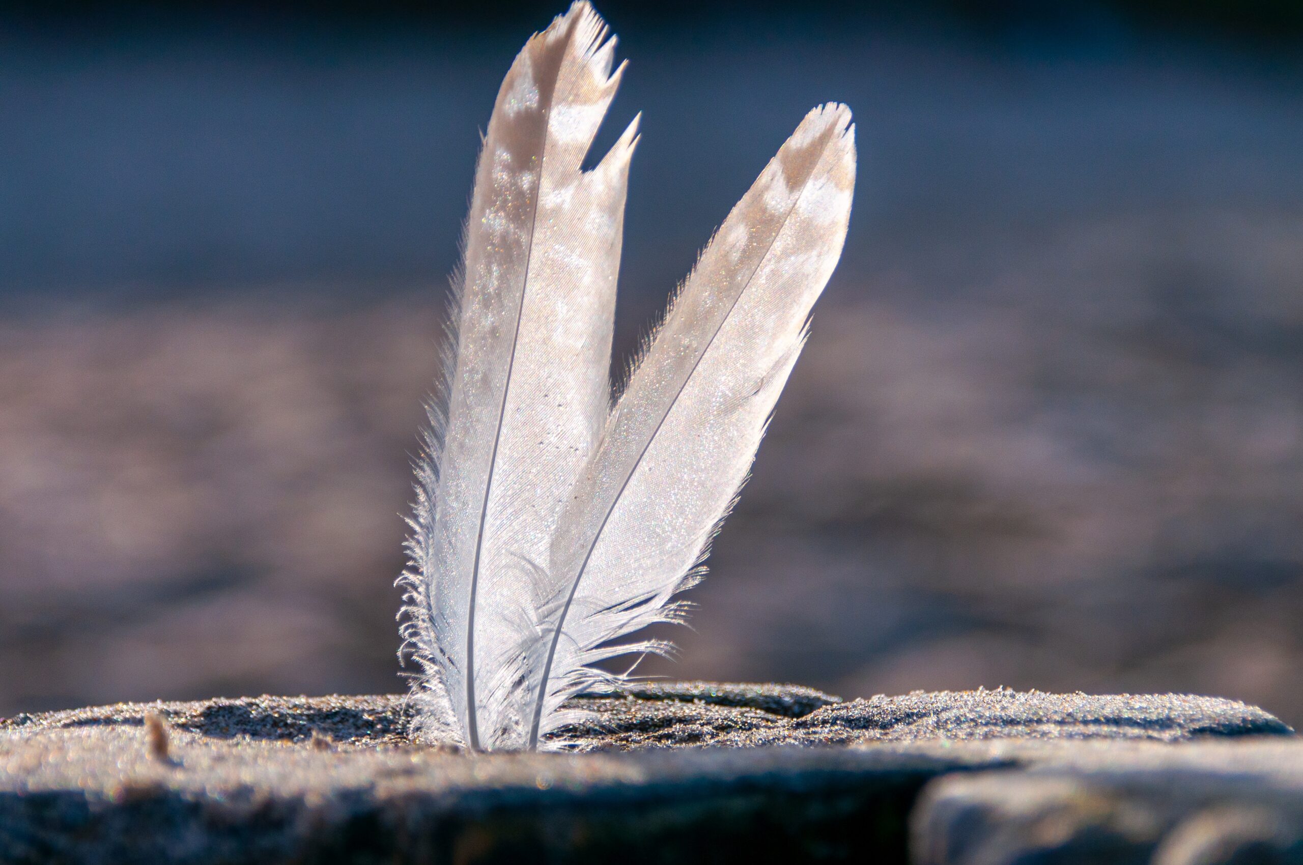 従来のモデルを超える、社会に変革をもたらし、企業の革新と管理変革の実現を支援する。朝羽ライフテックはこの先も挑戦を続けていきます。