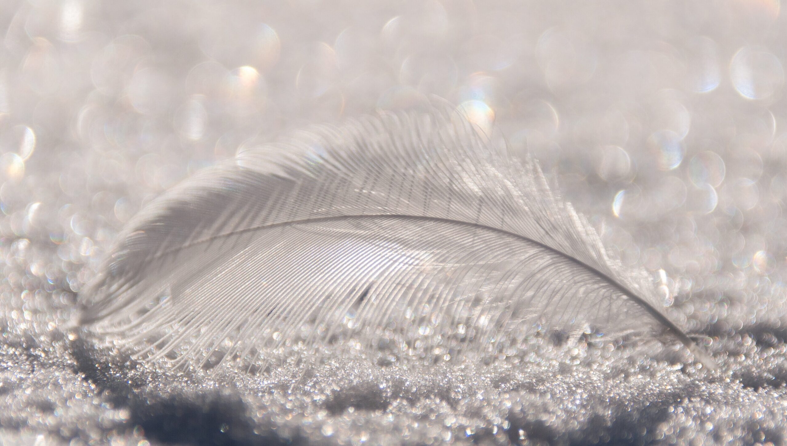 年末年始休業期間のお知らせ